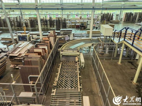 潍企风华录丨从一棵树到一个家 鲁丽家居的品质匠心与美好生活画卷